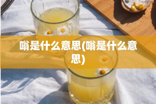 嗡是什么意思(嗡是什么意思)