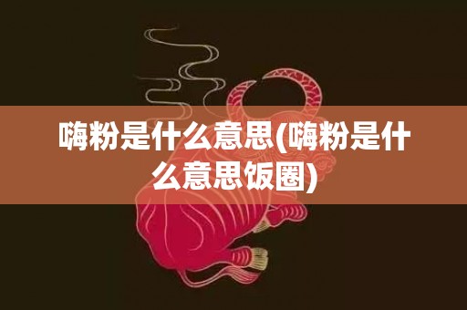 嗨粉是什么意思(嗨粉是什么意思饭圈)
