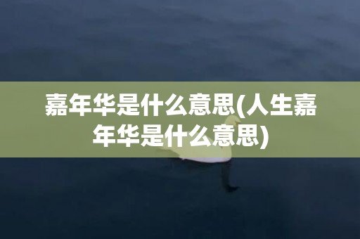 嘉年华是什么意思(人生嘉年华是什么意思)
