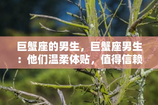 巨蟹座的男生，巨蟹座男生：他们温柔体贴，值得信赖的星座吗？