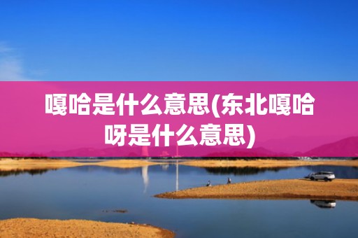 嘎哈是什么意思(东北嘎哈呀是什么意思)