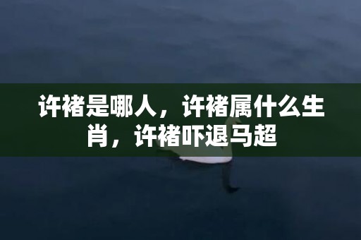 许褚是哪人，许褚属什么生肖，许褚吓退马超