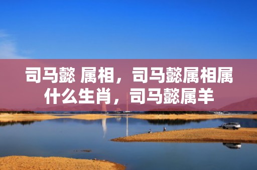 司马懿 属相，司马懿属相属什么生肖，司马懿属羊