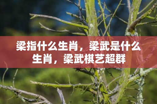 梁指什么生肖，梁武是什么生肖，梁武棋艺超群