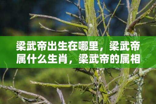 梁武帝出生在哪里，梁武帝属什么生肖，梁武帝的属相是龙