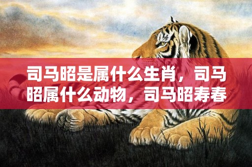 司马昭是属什么生肖，司马昭属什么动物，司马昭寿春之战