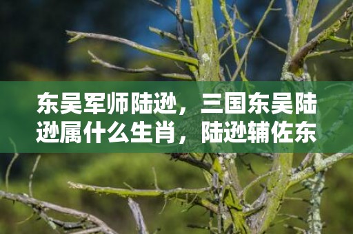 东吴军师陆逊，三国东吴陆逊属什么生肖，陆逊辅佐东宫