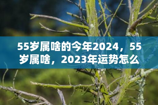 55岁属啥的今年2024，55岁属啥，2023年运势怎么样