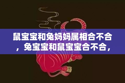鼠宝宝和兔妈妈属相合不合，兔宝宝和鼠宝宝合不合，鼠兔相刑什么意思