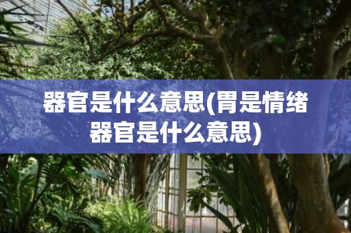 器官是什么意思(胃是情绪器官是什么意思)