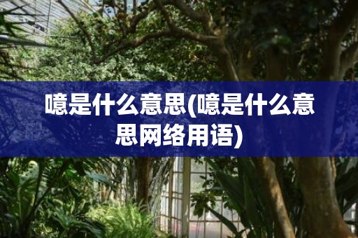 噫是什么意思(噫是什么意思网络用语)