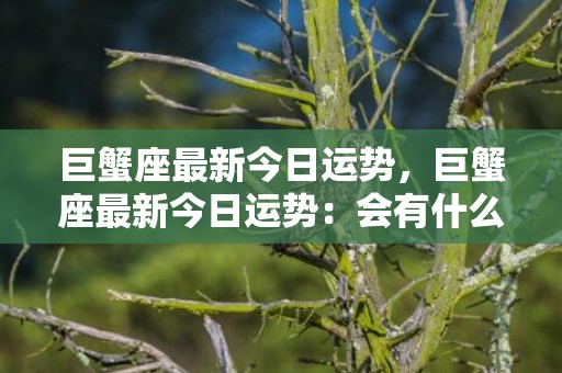 巨蟹座最新今日运势，巨蟹座最新今日运势：会有什么好消息吗？