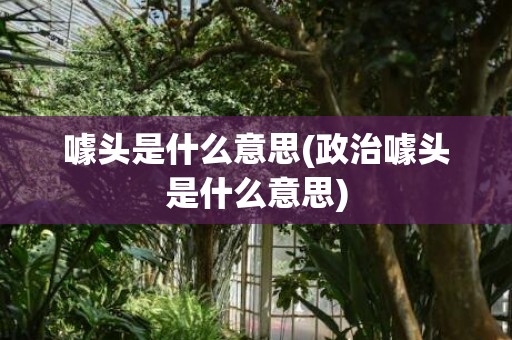 噱头是什么意思(政治噱头是什么意思)