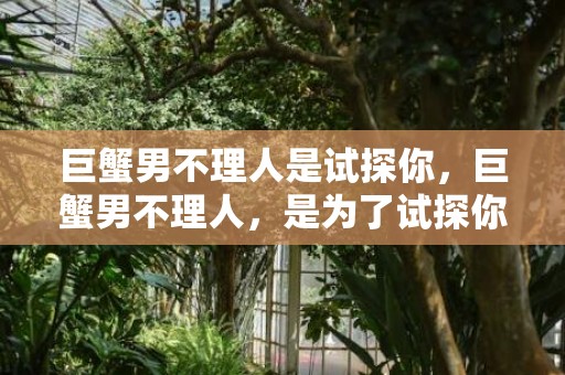 巨蟹男不理人是试探你，巨蟹男不理人，是为了试探你吗？