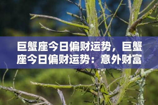巨蟹座今日偏财运势，巨蟹座今日偏财运势：意外财富将降临？