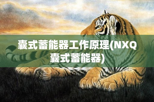 囊式蓄能器工作原理(NXQ囊式蓄能器)
