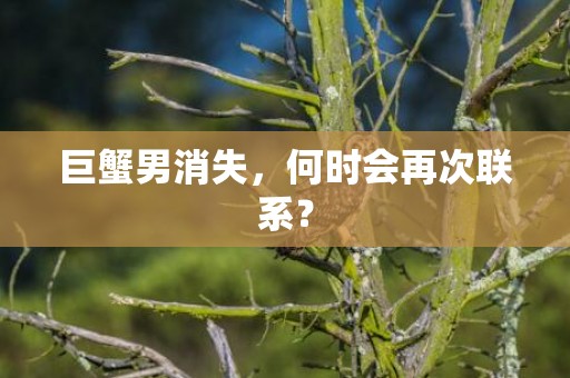 巨蟹男消失，何时会再次联系？