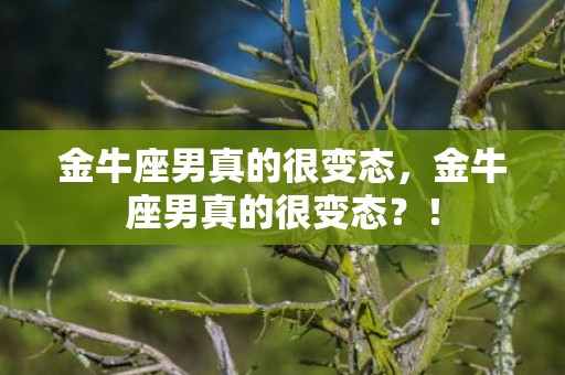 金牛座男真的很变态，金牛座男真的很变态？！