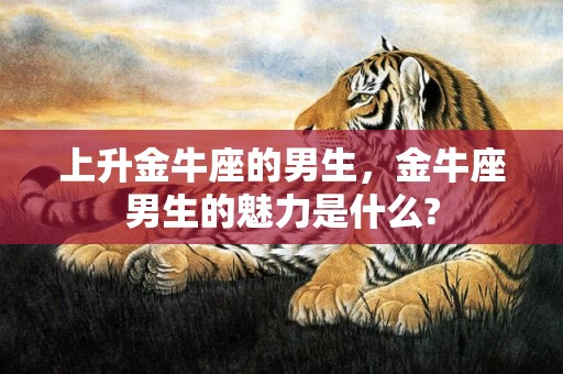 上升金牛座的男生，金牛座男生的魅力是什么?