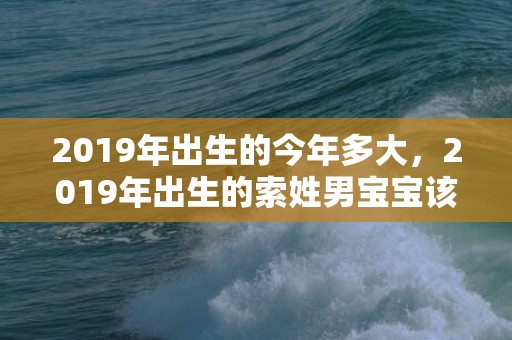 2019年出生的今年多大，2019年出生的索姓男宝宝该如何起名字，宜用什么字。