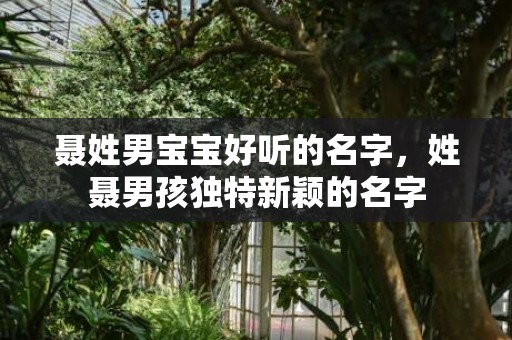 聂姓男宝宝好听的名字，姓聂男孩独特新颖的名字