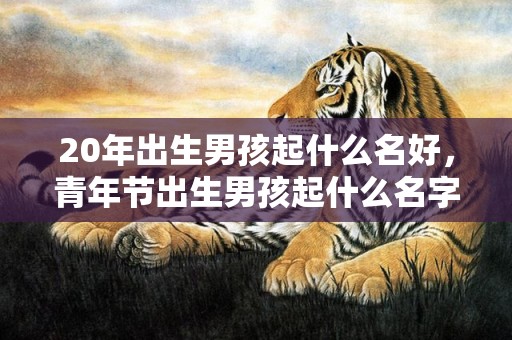 20年出生男孩起什么名好，青年节出生男孩起什么名字比较好听
