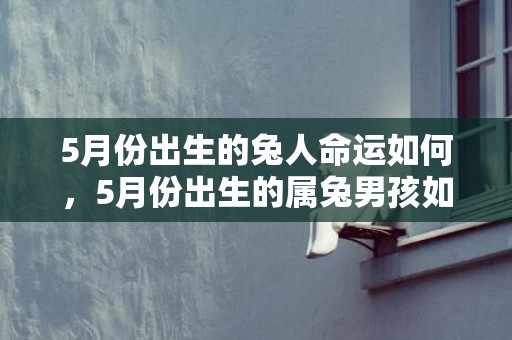 5月份出生的兔人命运如何，5月份出生的属兔男孩如何取名字
