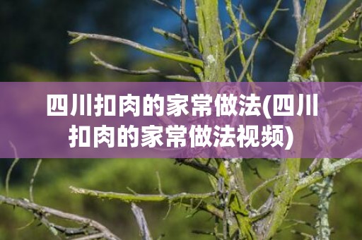 四川扣肉的家常做法(四川扣肉的家常做法视频)
