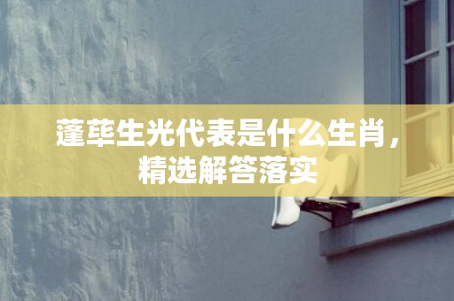 蓬荜生光代表是什么生肖，精选解答落实