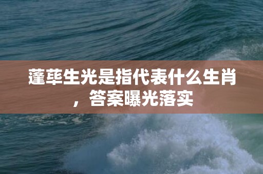 蓬荜生光是指代表什么生肖，答案曝光落实