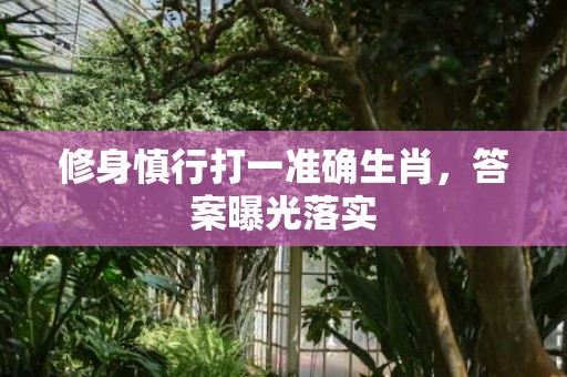 修身慎行打一准确生肖，答案曝光落实