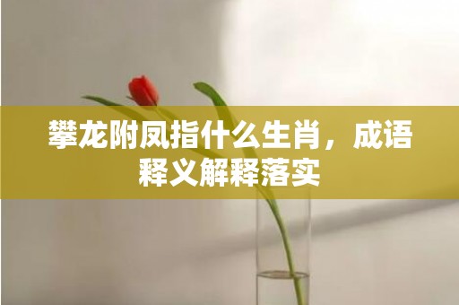 攀龙附凤指什么生肖，成语释义解释落实