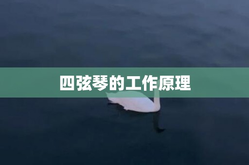 四弦琴的工作原理