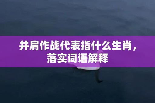 并肩作战代表指什么生肖，落实词语解释