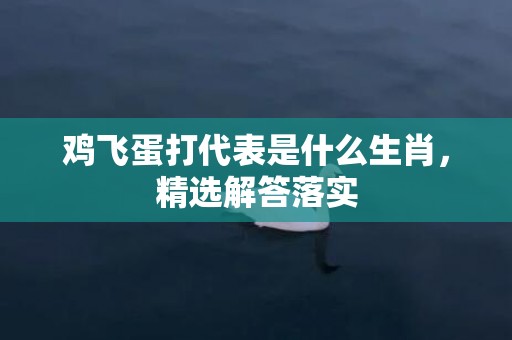 鸡飞蛋打代表是什么生肖，精选解答落实