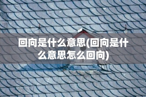 回向是什么意思(回向是什么意思怎么回向)