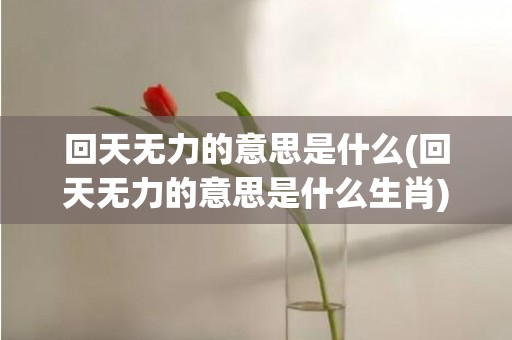 回天无力的意思是什么(回天无力的意思是什么生肖)