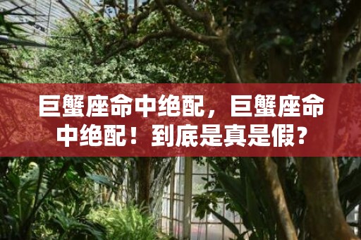 巨蟹座命中绝配，巨蟹座命中绝配！到底是真是假？