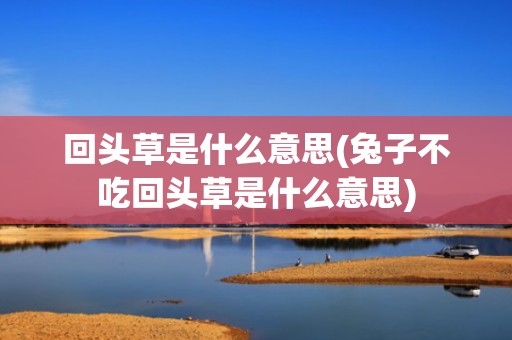 回头草是什么意思(兔子不吃回头草是什么意思)