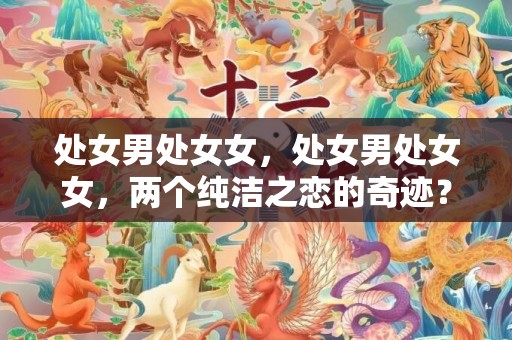 处女男处女女，处女男处女女，两个纯洁之恋的奇迹？