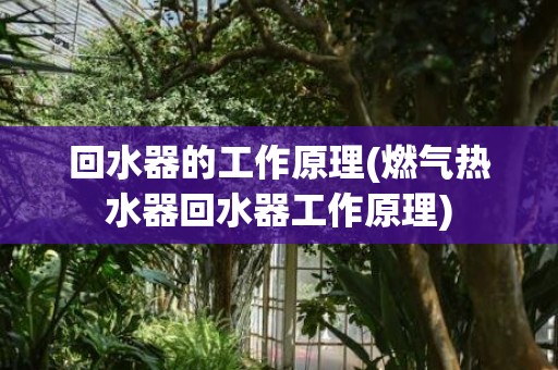 回水器的工作原理(燃气热水器回水器工作原理)