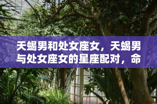 天蝎男和处女座女，天蝎男与处女座女的星座配对，命中注定的两情相悦？