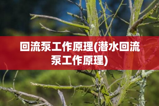 回流泵工作原理(潜水回流泵工作原理)