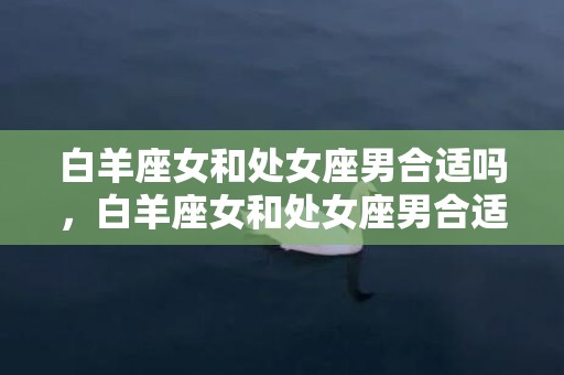 白羊座女和处女座男合适吗，白羊座女和处女座男合适吗？