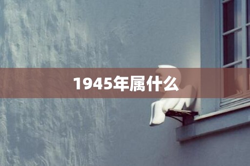 1945年属什么
