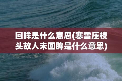 回眸是什么意思(寒雪压枝头故人未回眸是什么意思)