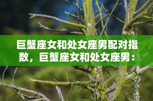巨蟹座女和处女座男配对指数，巨蟹座女和处女座男：配对指数如何？