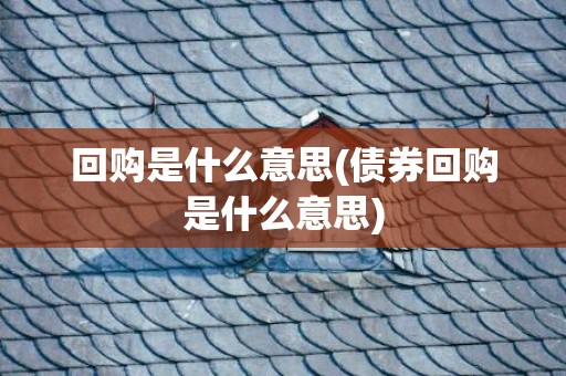回购是什么意思(债券回购是什么意思)