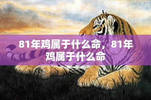 81年鸡属于什么命，81年鸡属于什么命