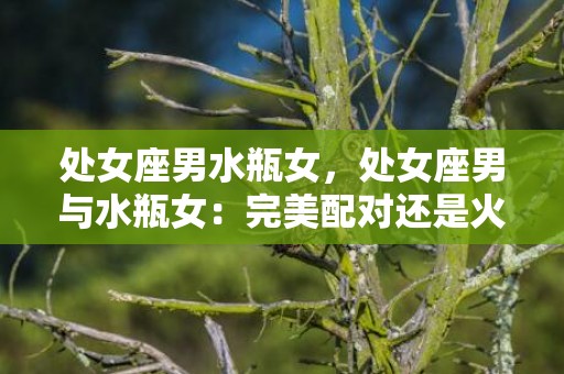 处女座男水瓶女，处女座男与水瓶女：完美配对还是火花难成？